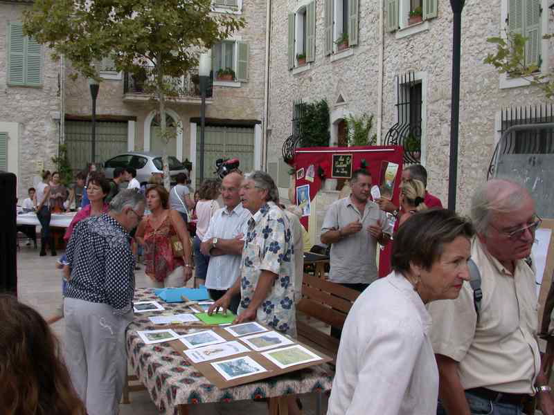 AssBridgeMarche4906 (11)