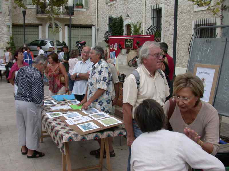 AssBridgeMarche4906 (12)