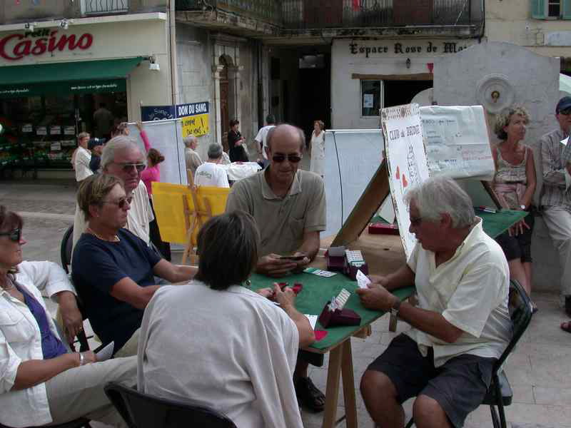 AssBridgeMarche4906 (3)