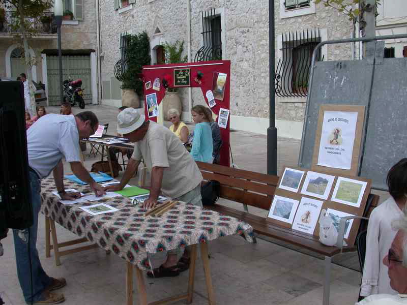 AssBridgeMarche4906 (4)