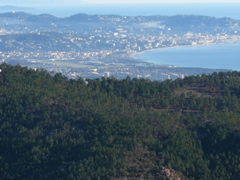 Vue du Mt Vinaigre